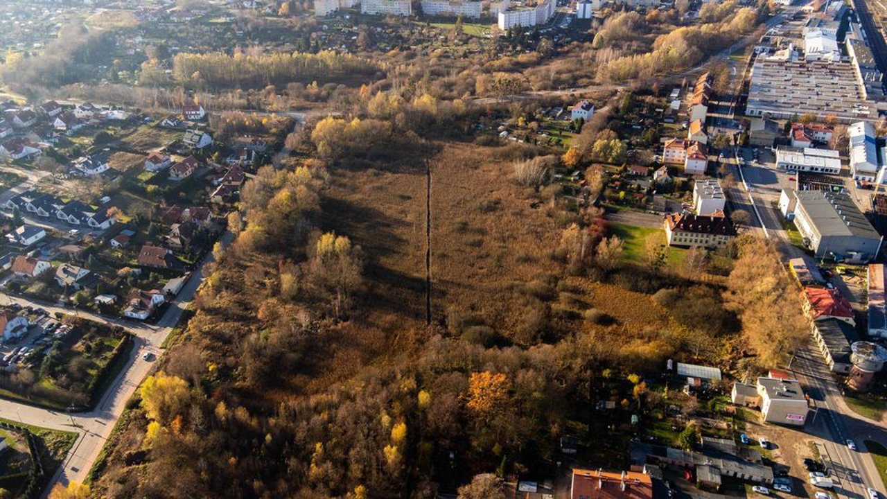 Bagienko na Pionierskiej, foto: Ekipa z Bagien